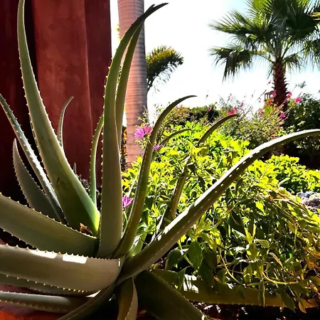 Romen 04 Bahia De Menceyes * Palm-mar