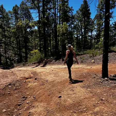 Appartement Romen 04 Bahia De Menceyes