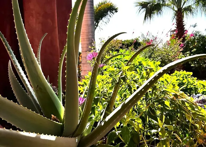 Romen 04 Bahia De Menceyes * Palm-mar